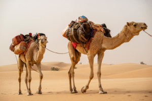DAV-Vortragsveranstaltung - Wüstenwanderungen in Oman und Mauretanien @ Treffpunkt Klima und Mobilität | Recklinghausen | Nordrhein-Westfalen | Deutschland
